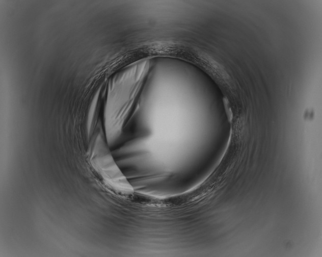 X0000088880217200706291611