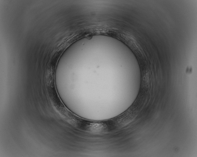 X0000088880218200706291611