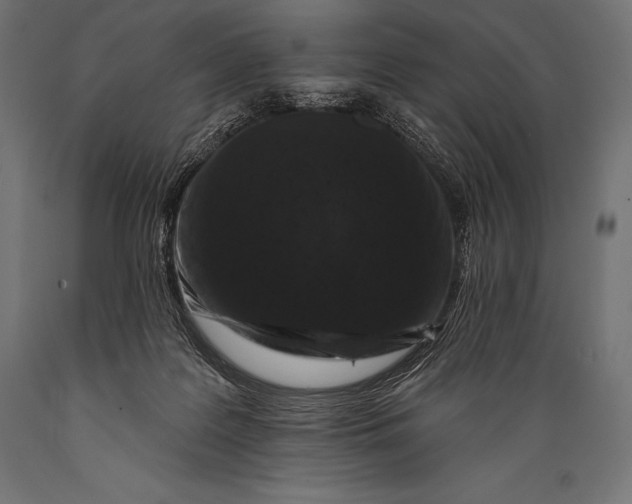 X0000088880219200706291611