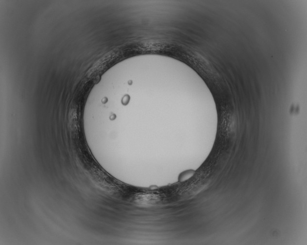 X0000088880220200706291611