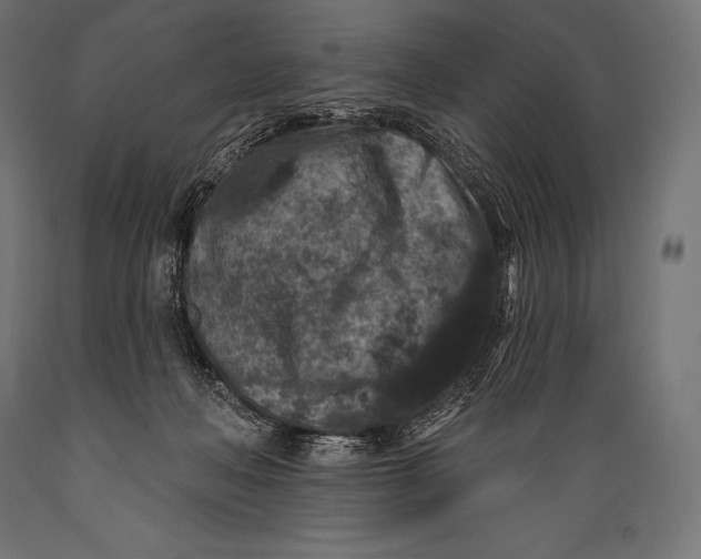 X0000088880222200706291611