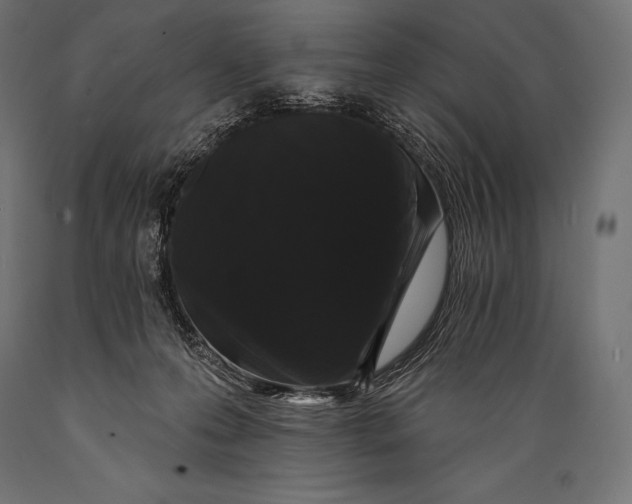 X0000088880223200706291611