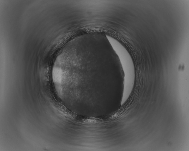 X0000088880224200706291611