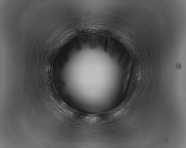 X0000088880225200706291611