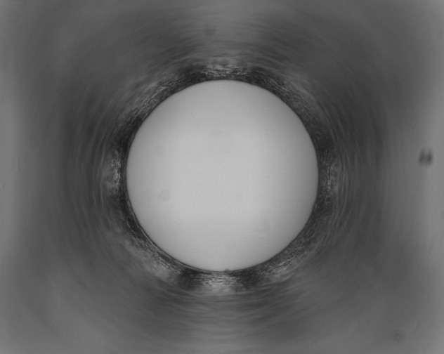 X0000088880226200706291611