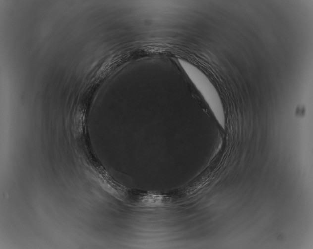 X0000088880227200706291611