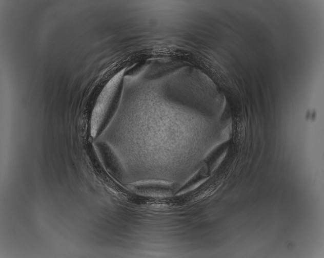 X0000088880228200706291611