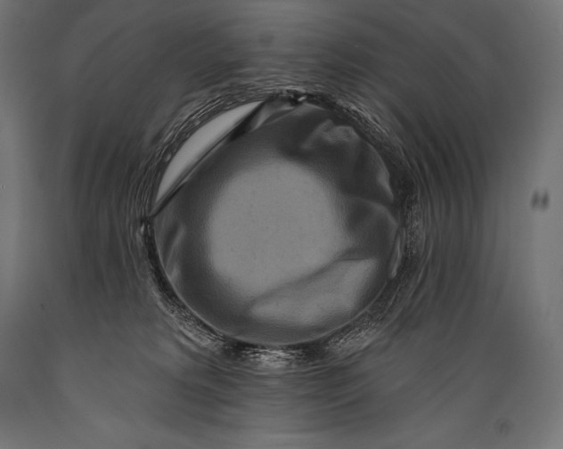 X0000088880229200706291611