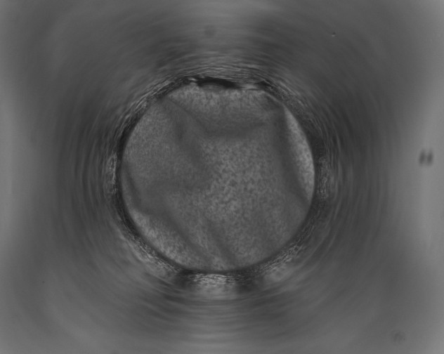 X0000088880230200706291611