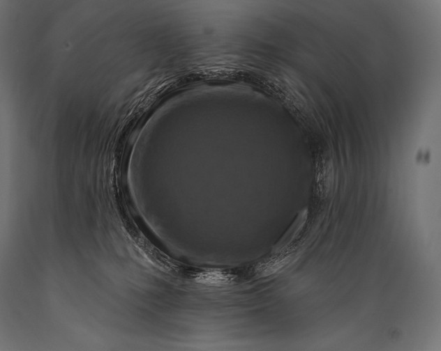 X0000088880231200706291611