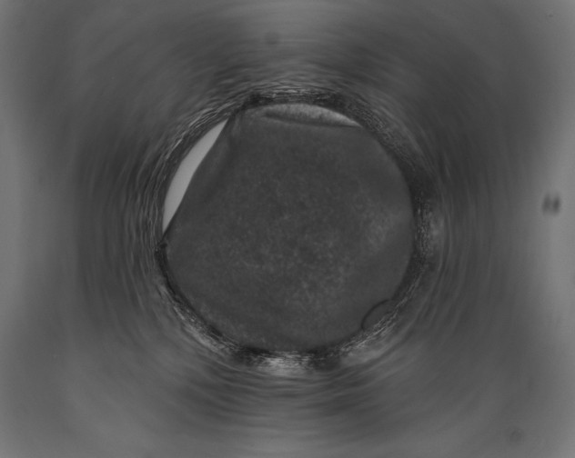 X0000088880232200706291611