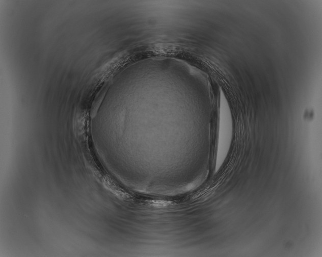 X0000088880233200706291611