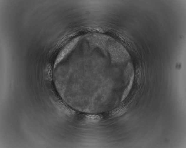 X0000088880234200706291611