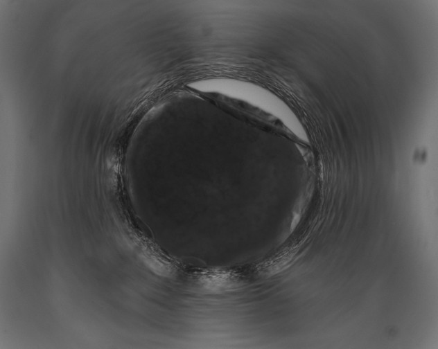 X0000088880235200706291611