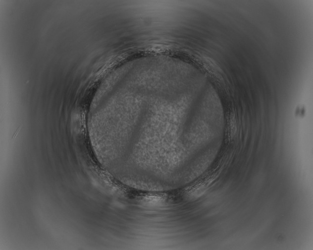 X0000088880236200706291611