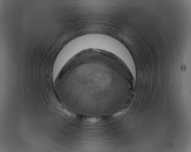 X0000088880237200706291611