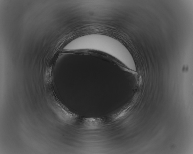 X0000088880239200706291611