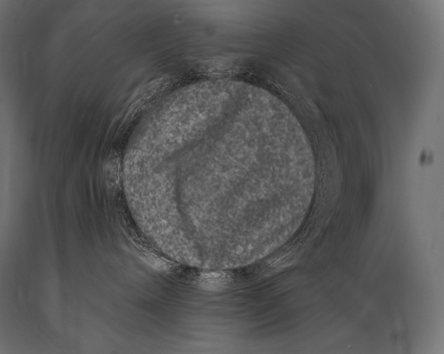 X0000088880240200706291611