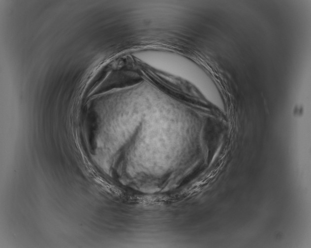 X0000088880241200706291610