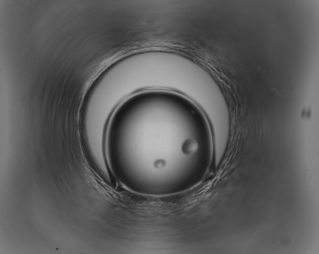 X0000088880244200706291610