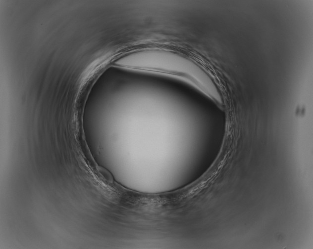 X0000088880245200706291610