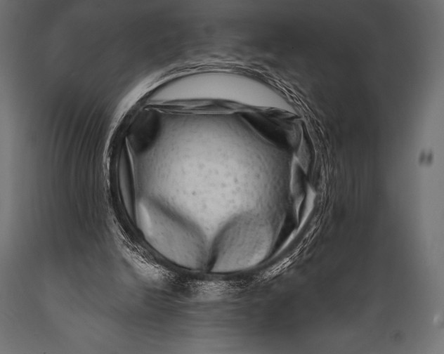 X0000088880246200706291610