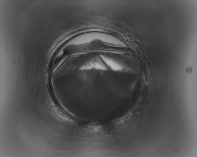 X0000088880247200706291610