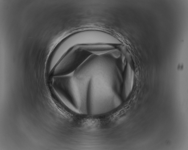 X0000088880248200706291610