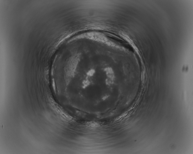 X0000088880249200706291610