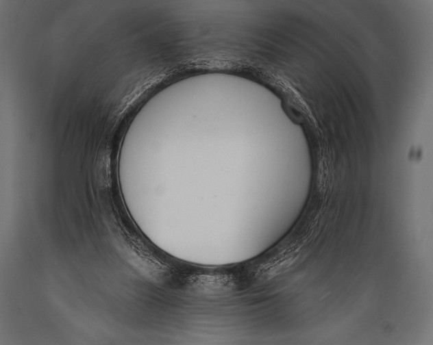 X0000088880251200706291610