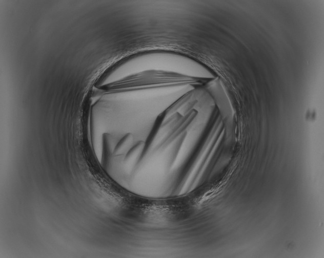 X0000088880252200706291610