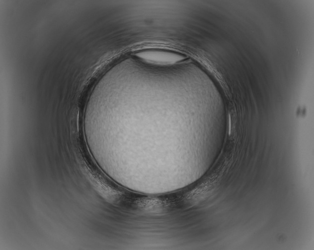 X0000088880253200706291610