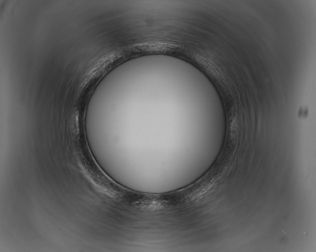 X0000088880254200706291610