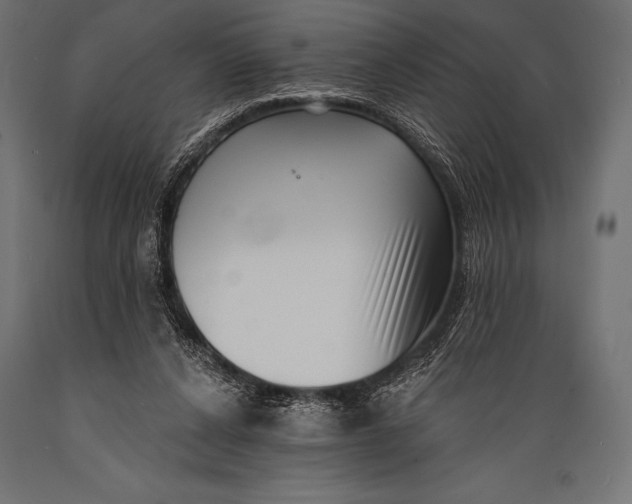 X0000088880256200706291610