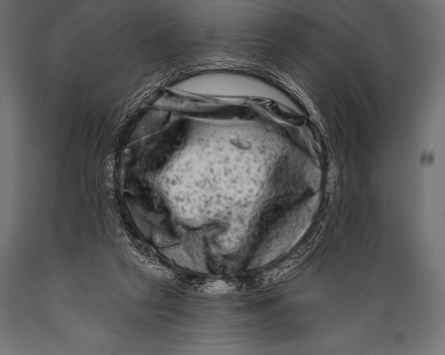 X0000088880257200706291610