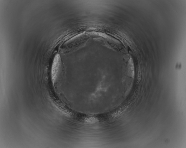 X0000088880258200706291610