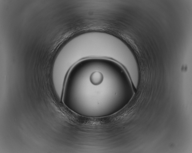 X0000088880260200706291610