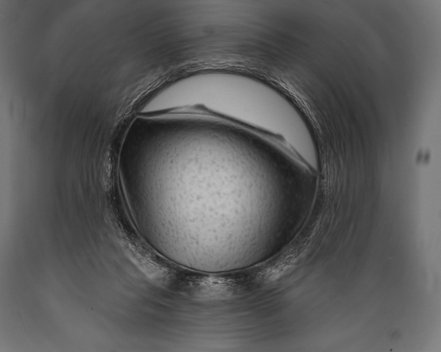 X0000088880261200706291610