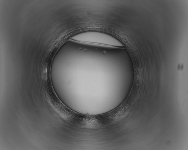 X0000088880262200706291610