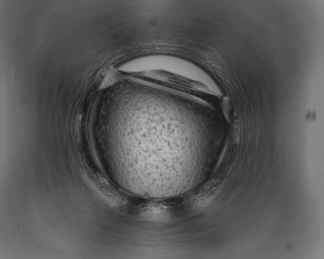 X0000088880263200706291610