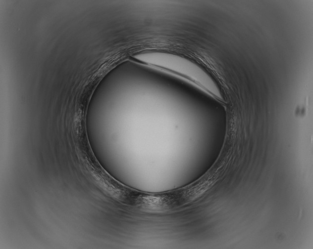 X0000088880265200706291610