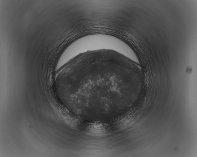 X0000088880267200706291610