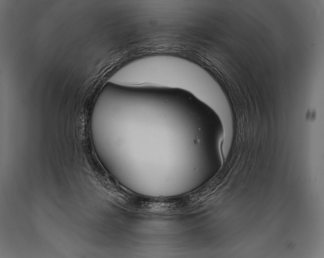 X0000088880268200706291610