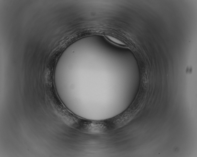 X0000088880270200706291610