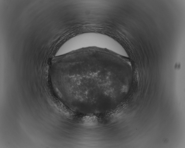 X0000088880271200706291610