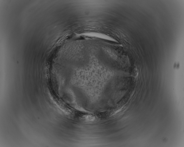 X0000088880272200706291610