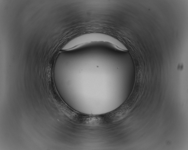 X0000088880274200706291610