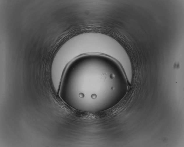 X0000088880276200706291610