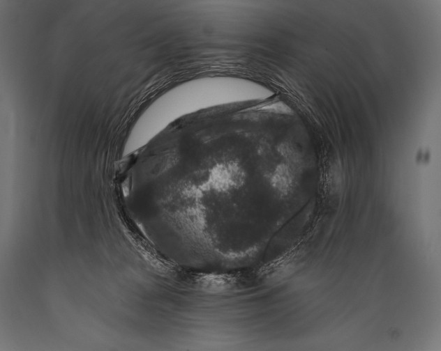 X0000088880277200706291610