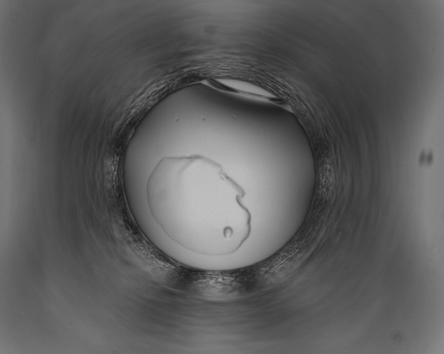 X0000088880278200706291610